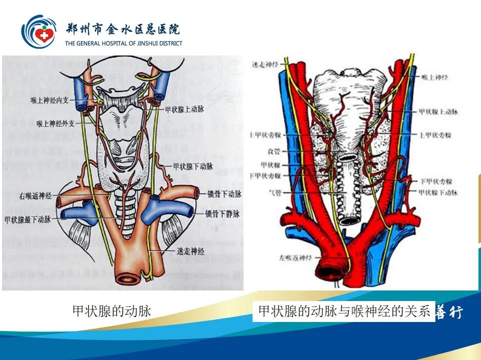 【PPT】甲状腺常见相关疾病的影像诊断-18