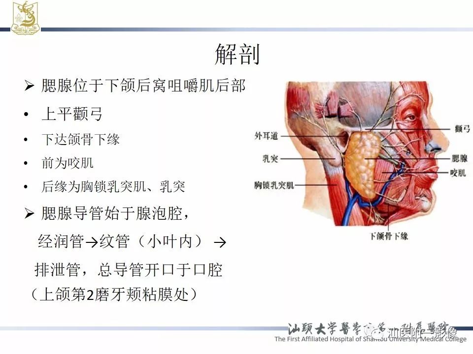 【PPT】腮腺病变CT诊断-2