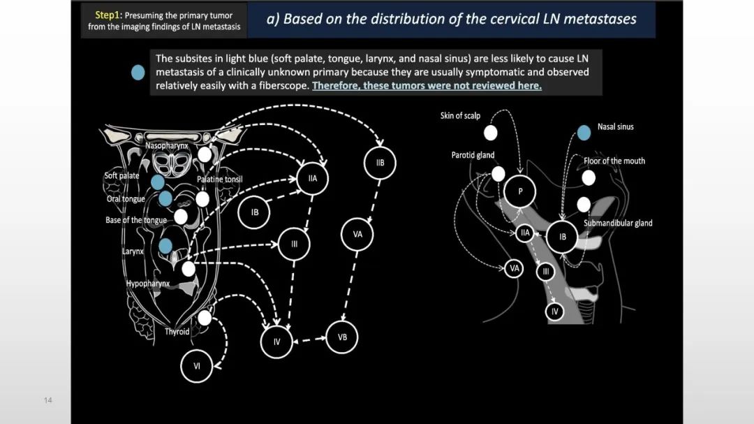 【PPT】原发肿瘤在哪里？不明原发肿瘤颈部淋巴结转移的影像学检查方法-14