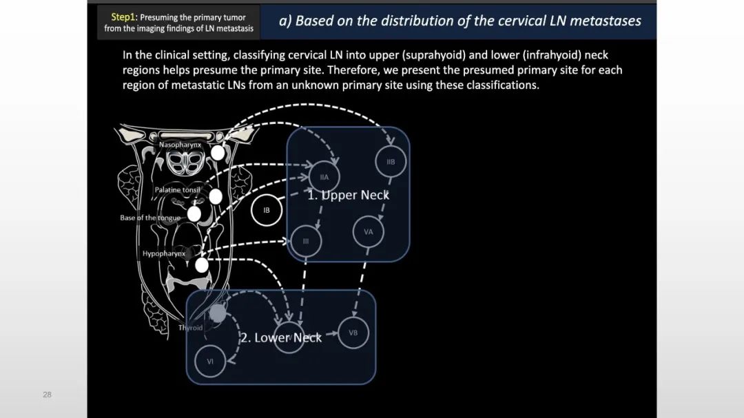 【PPT】原发肿瘤在哪里？不明原发肿瘤颈部淋巴结转移的影像学检查方法-28