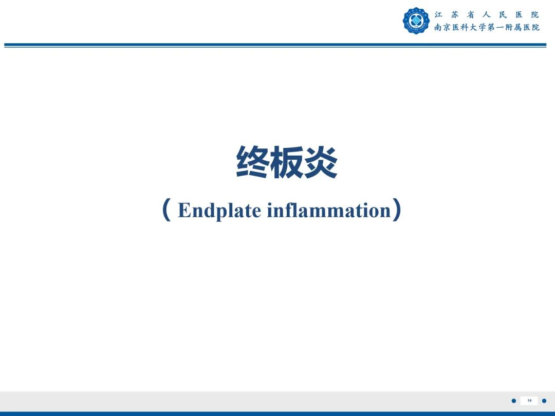 【PPT】终板炎-15