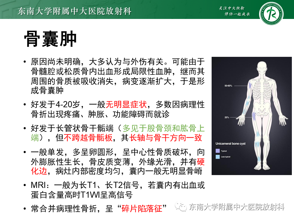 【PPT】骨纤维异常增殖症-25