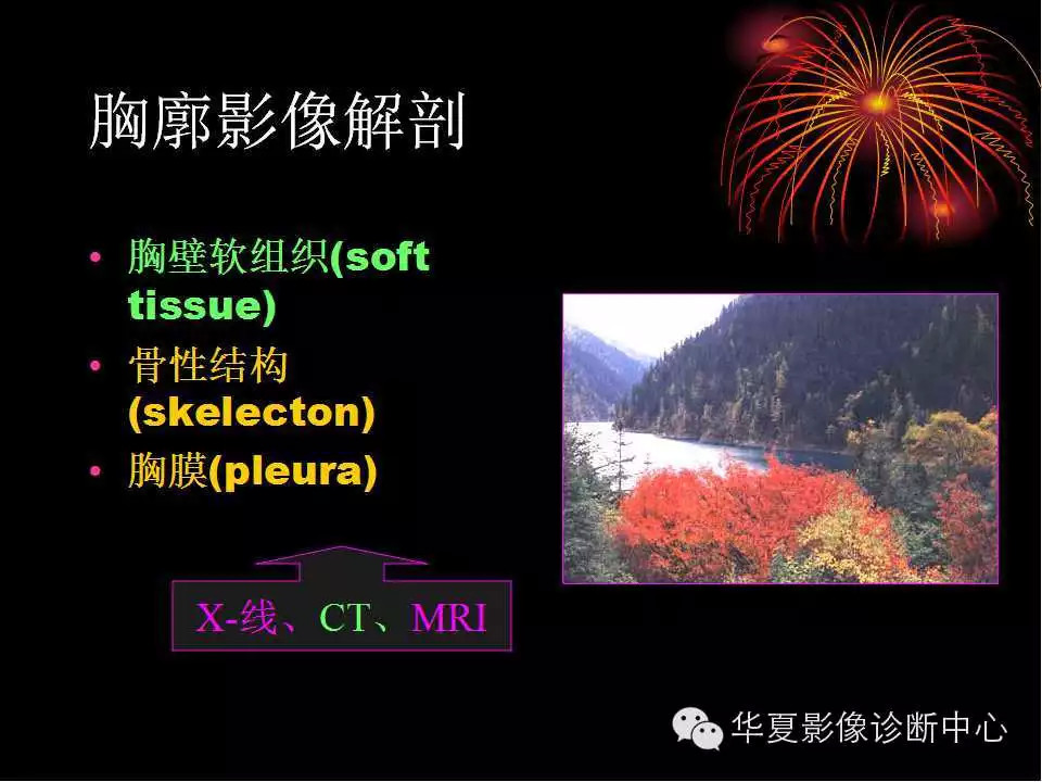 肺与纵隔的影像诊断