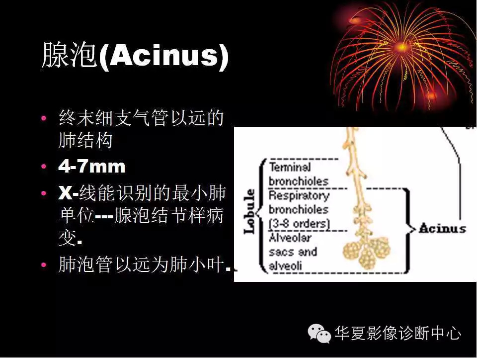 肺与纵隔的影像诊断