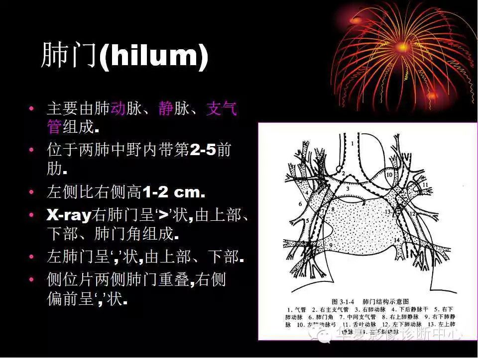 肺与纵隔的影像诊断