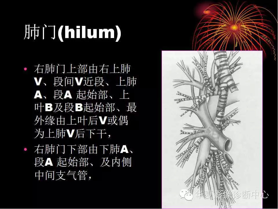 肺与纵隔的影像诊断