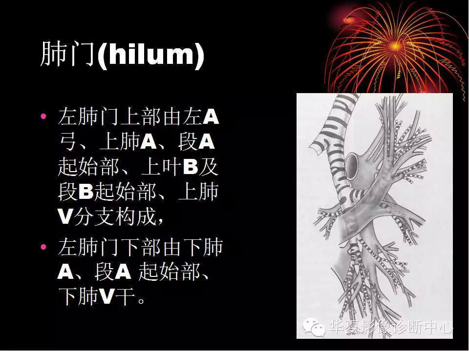 肺与纵隔的影像诊断