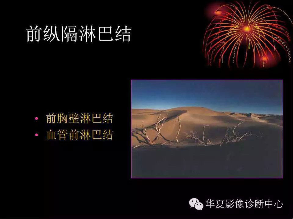 肺与纵隔的影像诊断