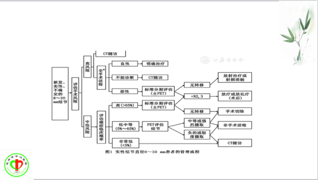 肺部微小结节再认识