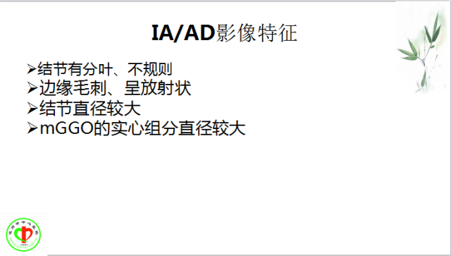 肺部微小结节再认识