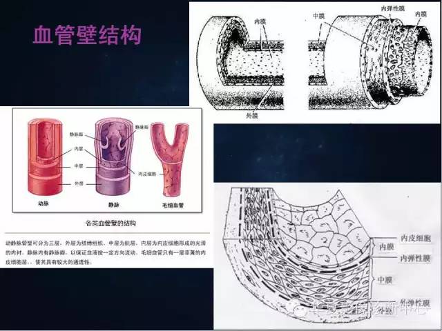 【PPT】主动脉瘤的鉴别诊断
