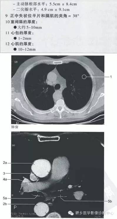 胸部的一些正常数值
