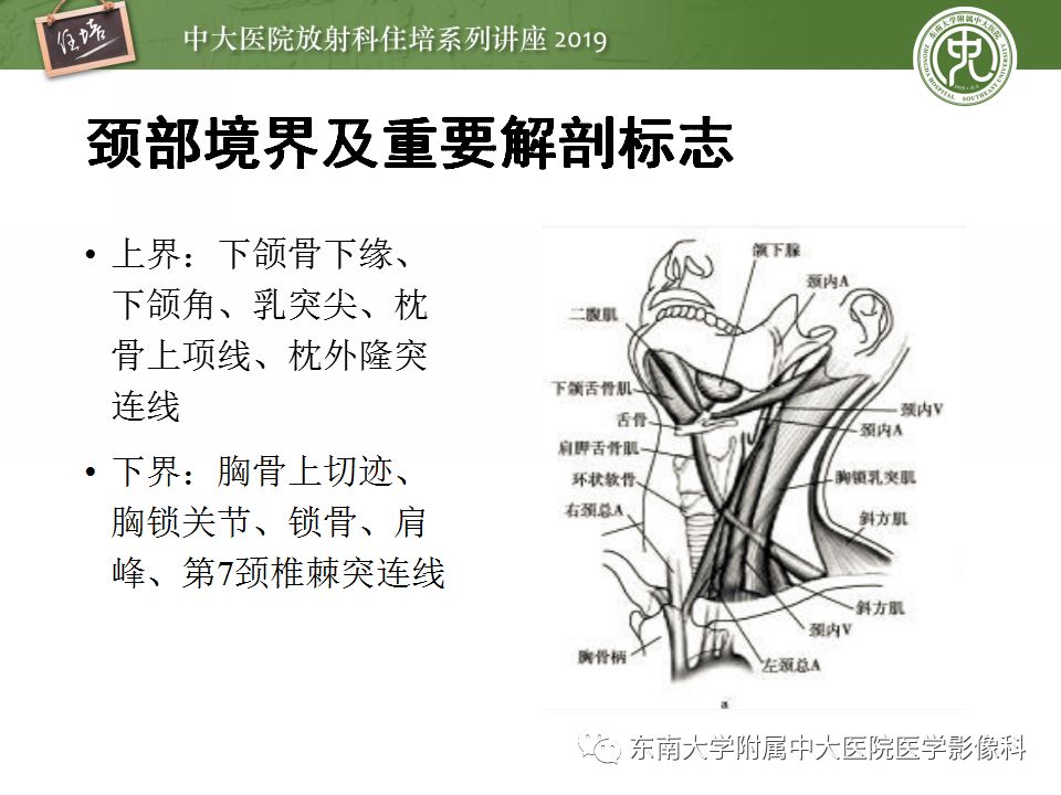 【PPT】颈部淋巴结的影像解剖及常见病变的影像表现-2
