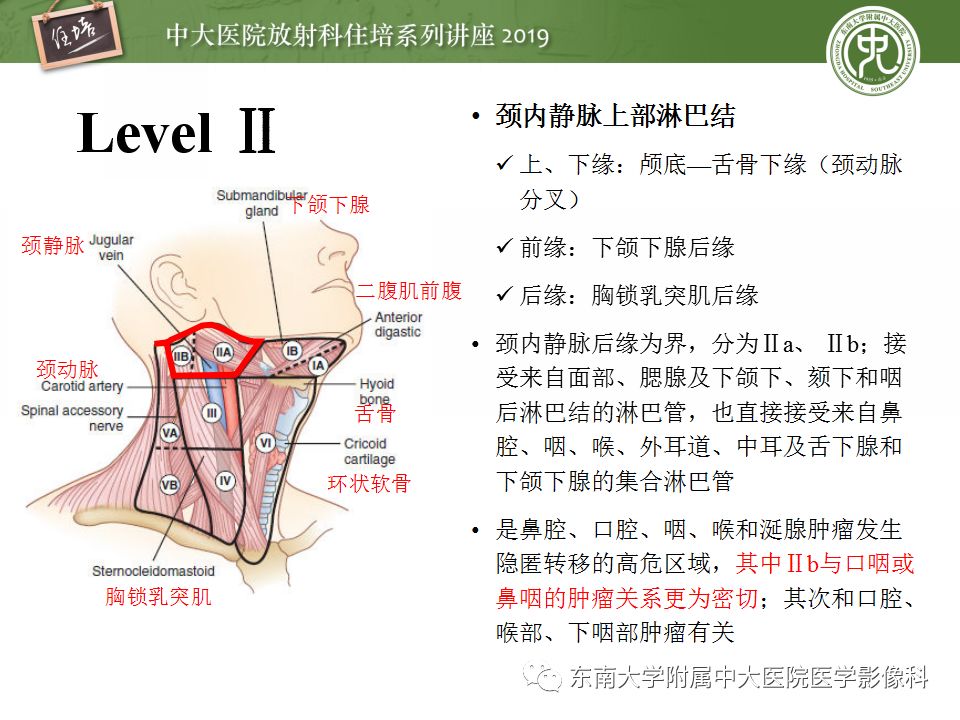 【PPT】颈部淋巴结的影像解剖及常见病变的影像表现-10