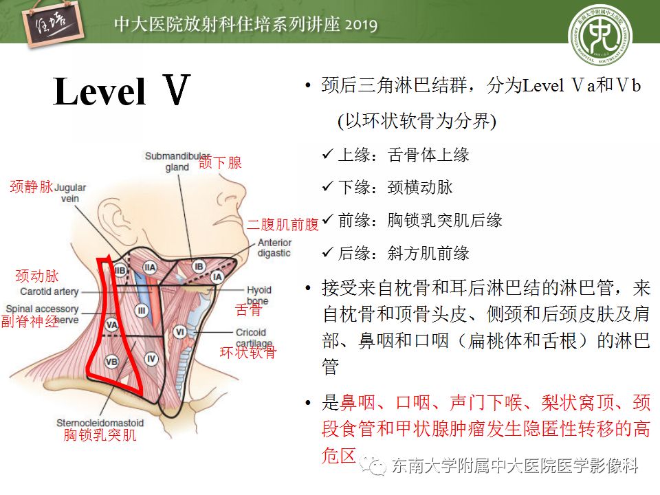 【PPT】颈部淋巴结的影像解剖及常见病变的影像表现-15