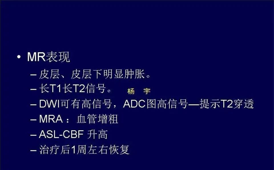 【PPT】脑皮层病变的MRI表现-47