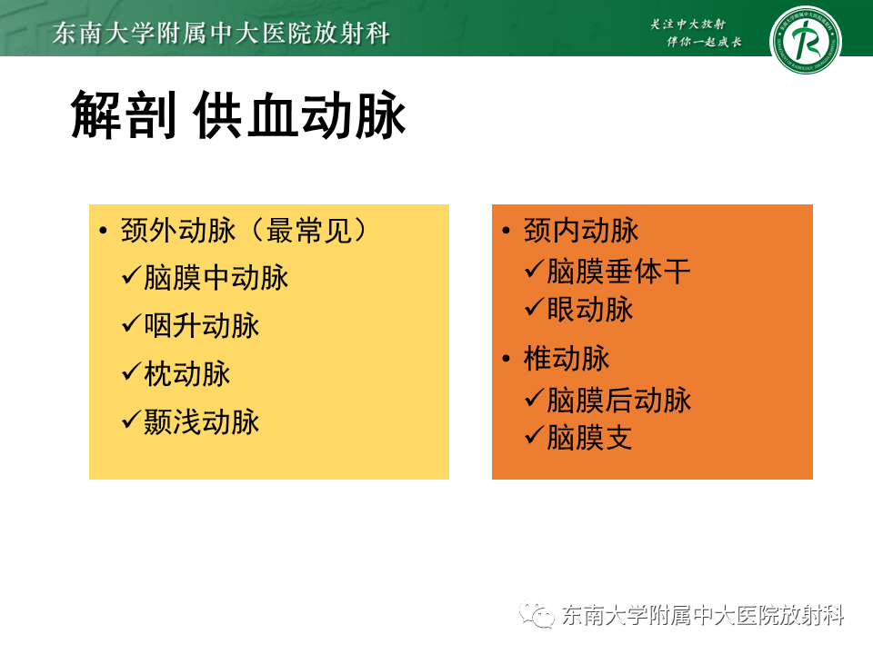 【PPT】高流量脑血管畸形-23