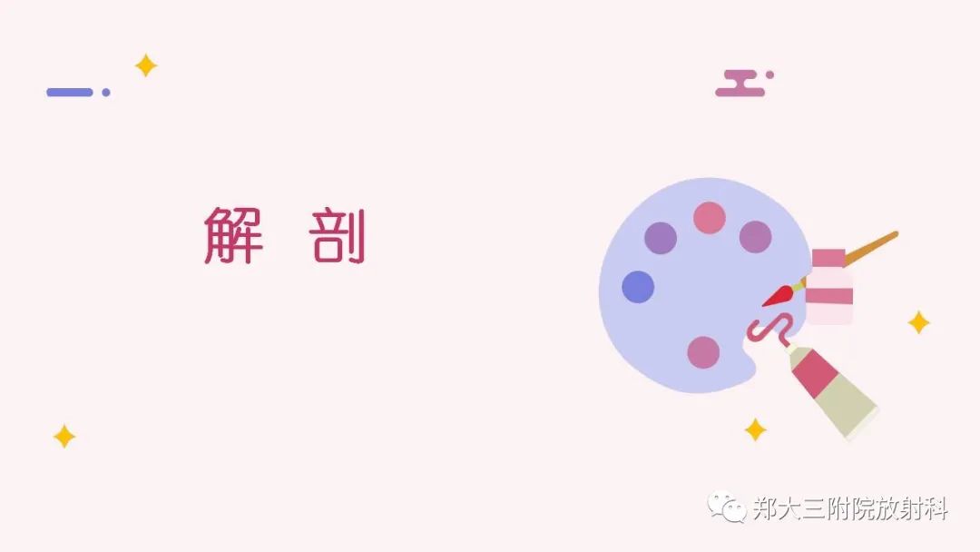 【PPT】颞下颌关节紊乱的影像学表现-3