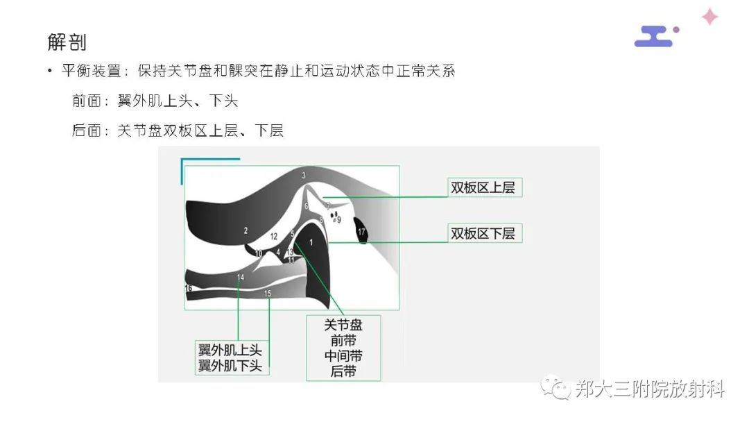 【PPT】颞下颌关节紊乱的影像学表现-15