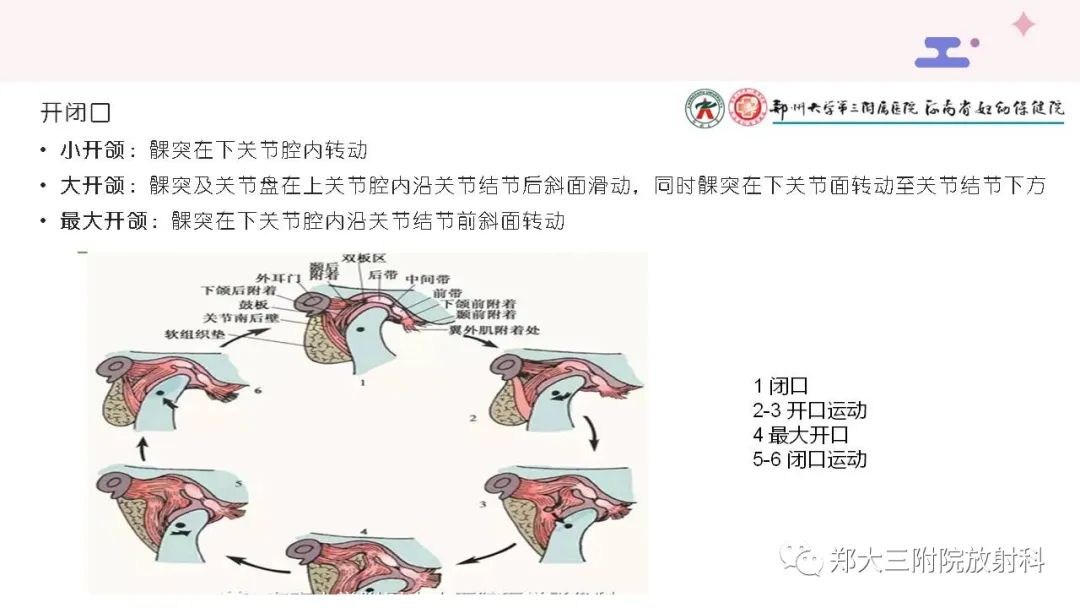 【PPT】颞下颌关节紊乱的影像学表现-19