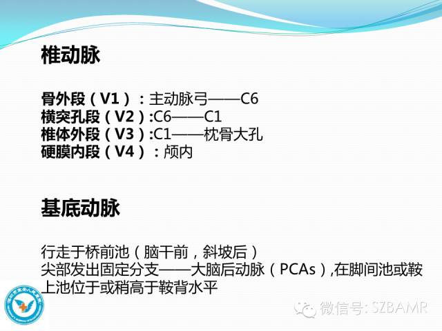 【PPT】椎-基底动脉系统解剖-3