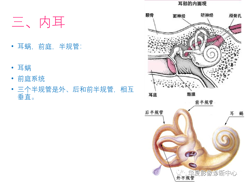 【PPT】耳的影像解剖及常见疾病诊断-13