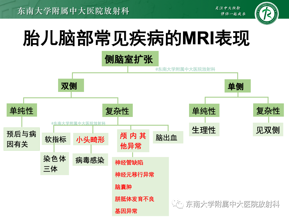 【PPT】胎儿颅脑MRI技术及常见神经系统发育异常-51