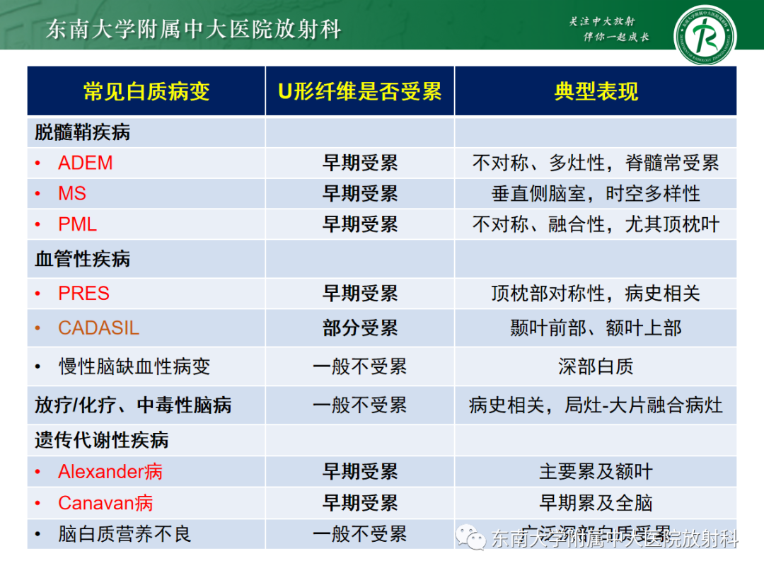 【PPT】皮层下U形纤维受累常见病变-23