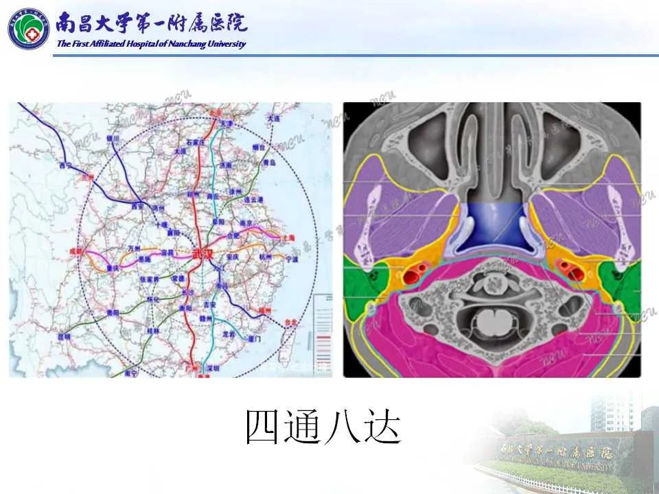 【PPT】咽旁间隙——你别动-3