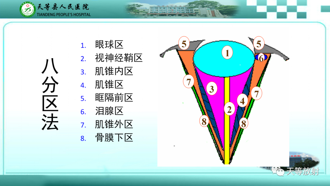 【PPT】眼眶分区及各分区常见疾病-5