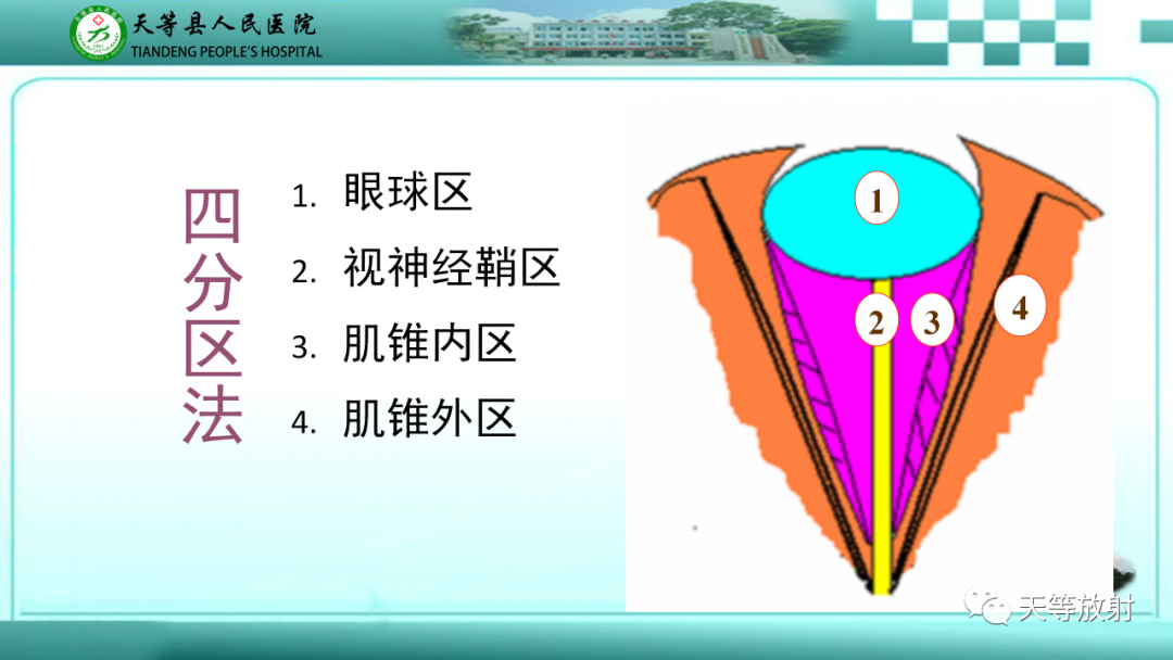 【PPT】眼眶分区及各分区常见疾病-7