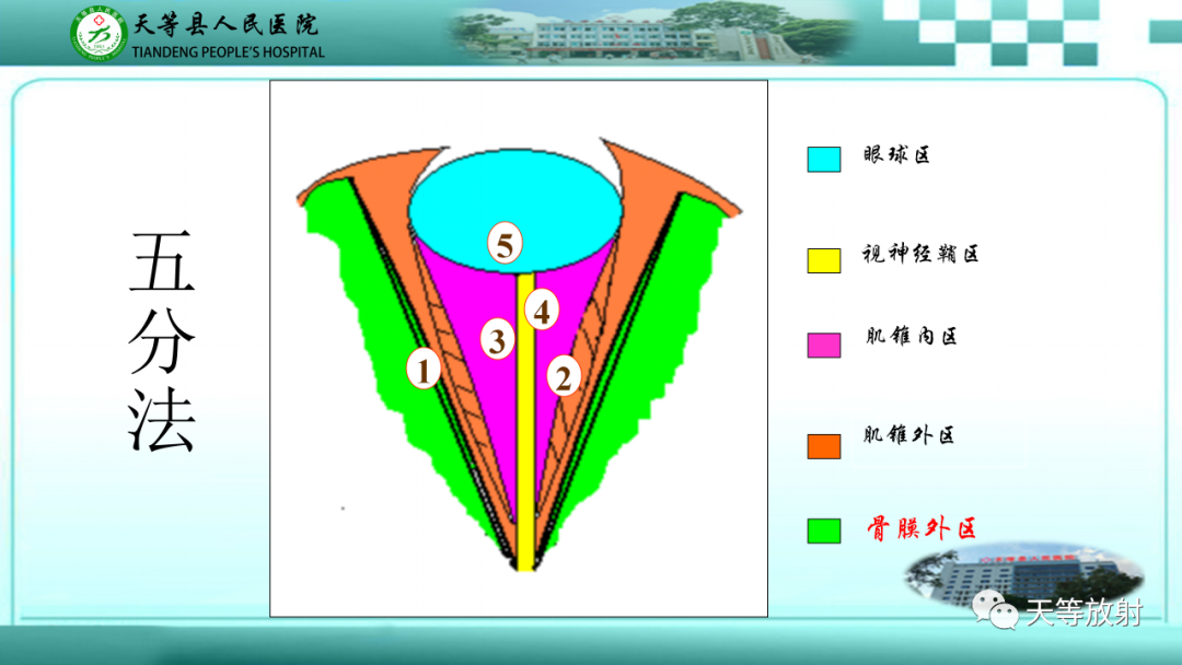 【PPT】眼眶分区及各分区常见疾病-8