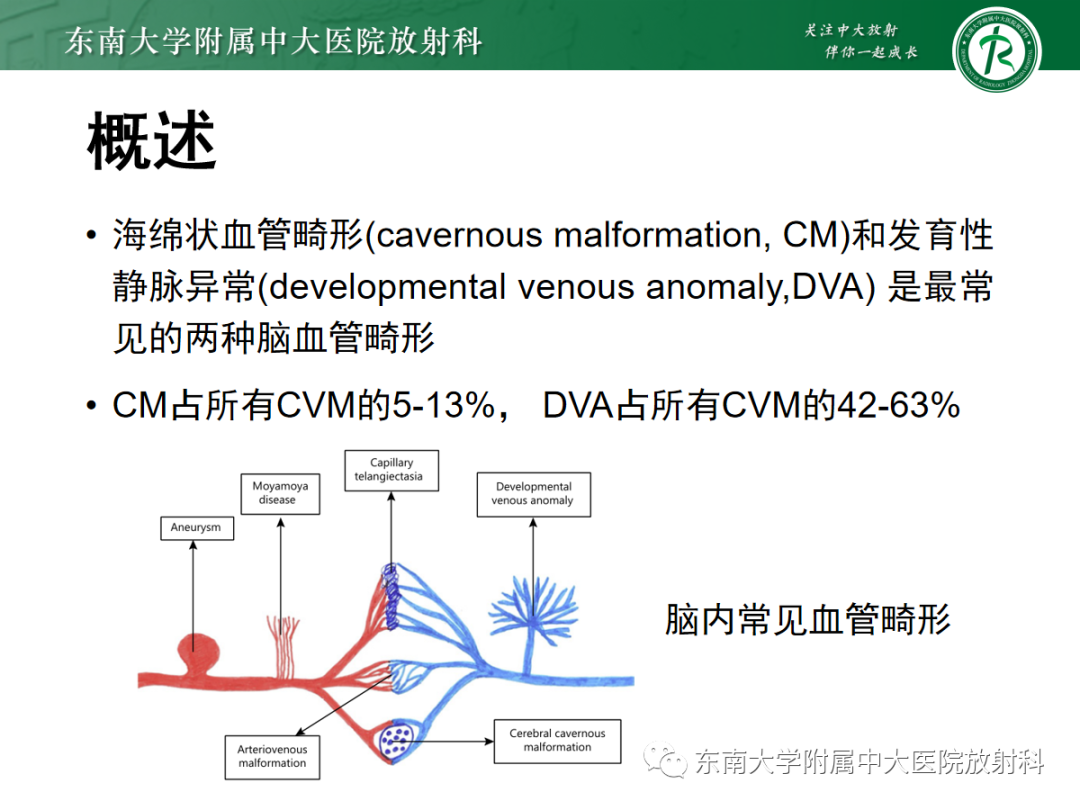 【PPT】颅内海绵状血管畸形-5