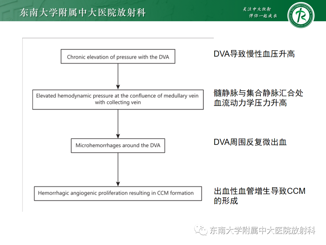 【PPT】颅内海绵状血管畸形-26