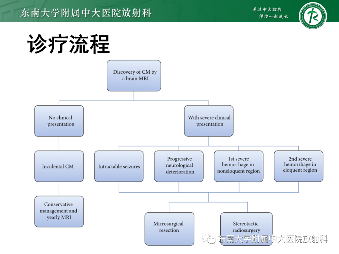 【PPT】颅内海绵状血管畸形-29