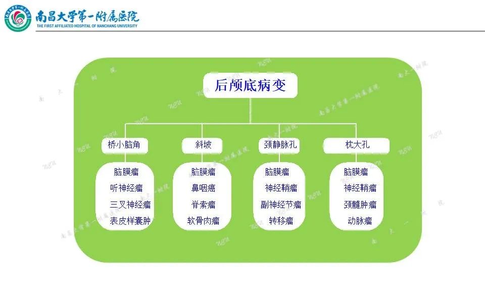 【PPT】颅底肿瘤的影像诊断思路-21