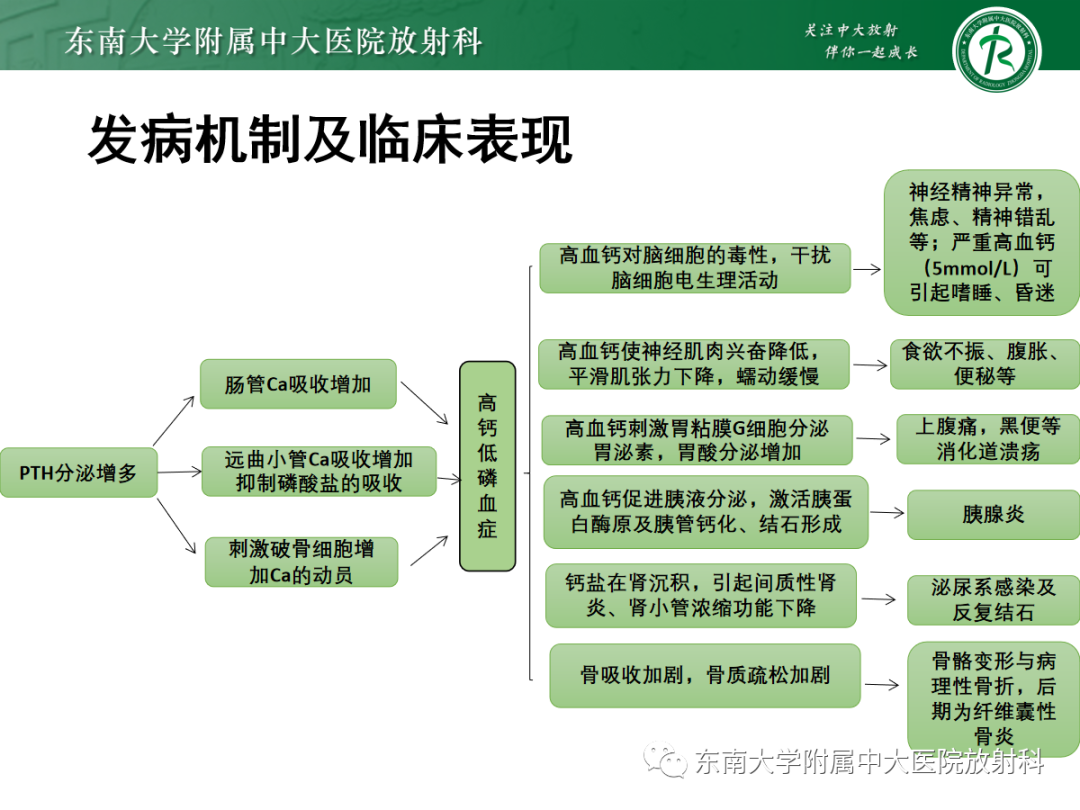 【PPT】原发性甲状旁腺功能亢进-9