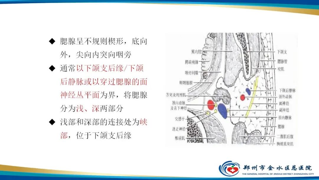 【病例】腮腺多形性腺瘤1例CT影像-12