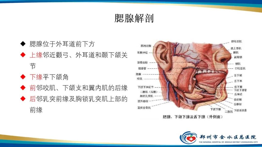 【病例】腮腺多形性腺瘤1例CT影像-11