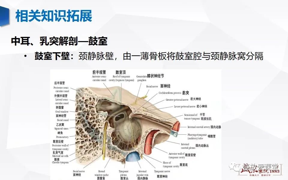 【PPT】中耳乳突解剖及炎症-19
