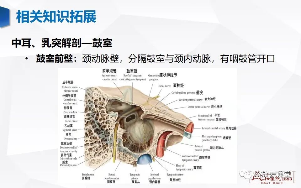 【PPT】中耳乳突解剖及炎症-20