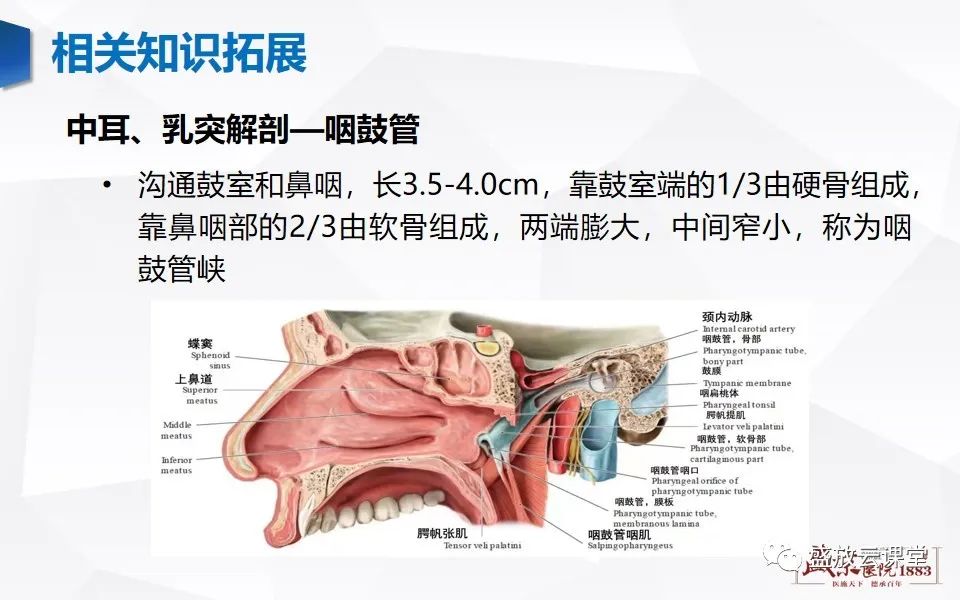 【PPT】中耳乳突解剖及炎症-32