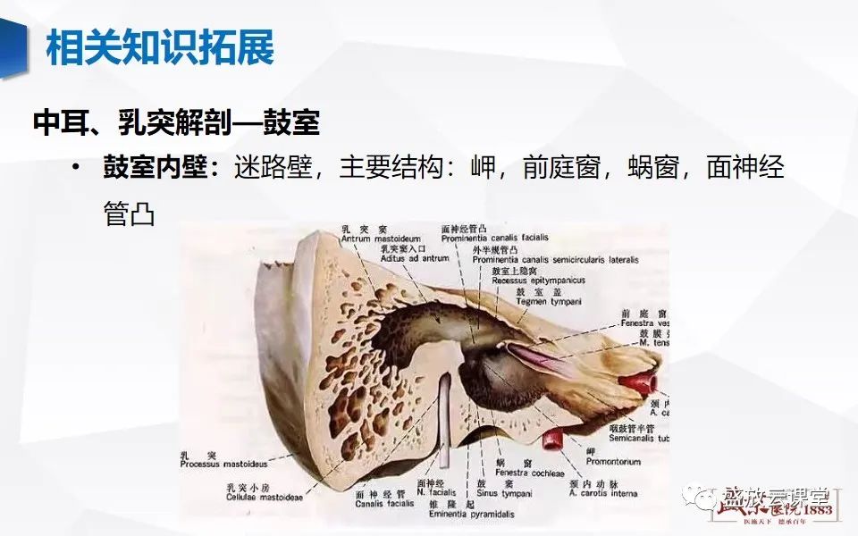 【PPT】中耳乳突解剖及炎症-23