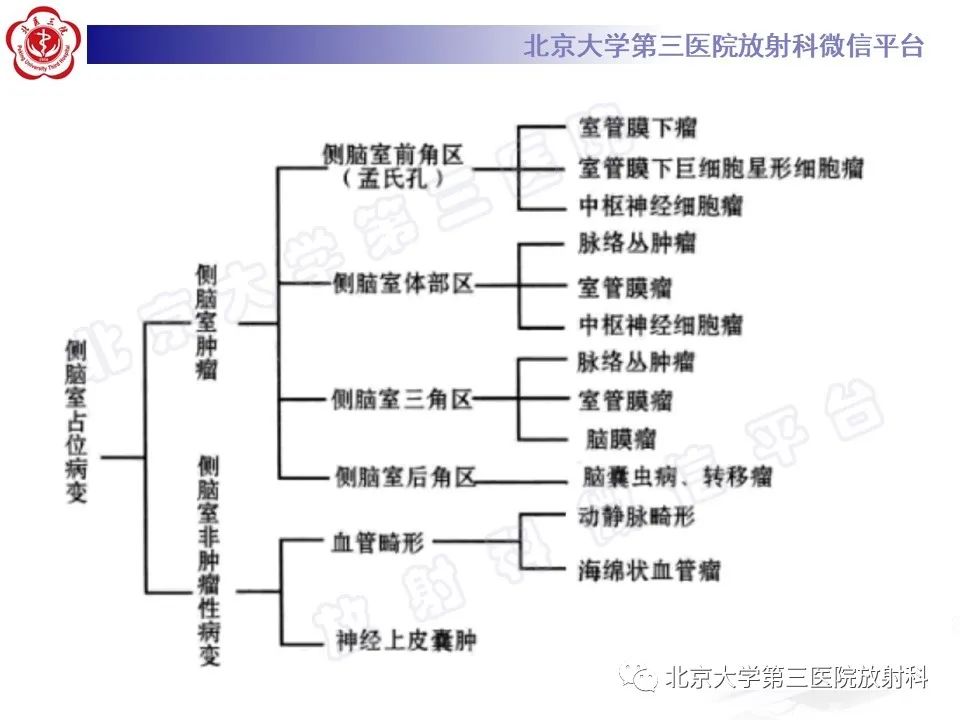 【PPT】脑室内脑膜瘤-27