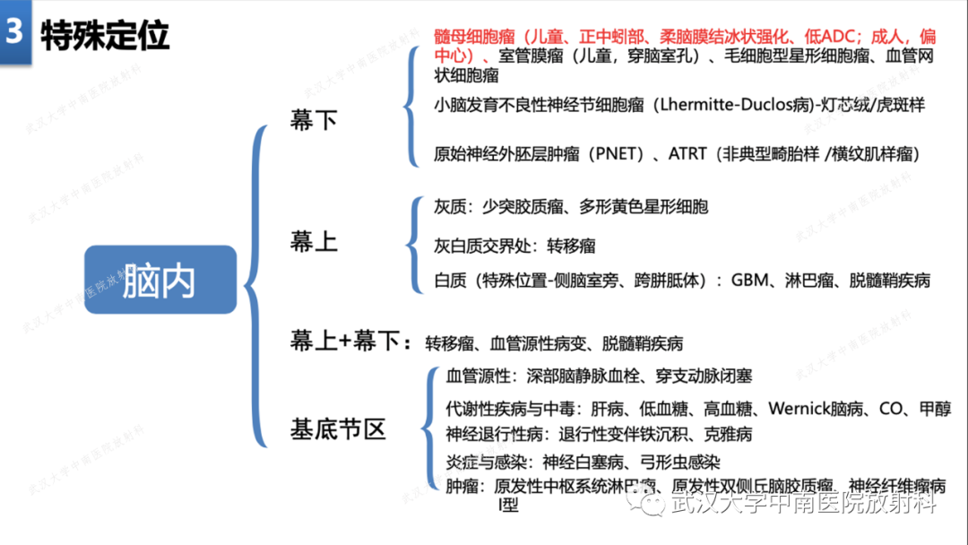 【PPT】局灶性脑部病变影像学诊断-16