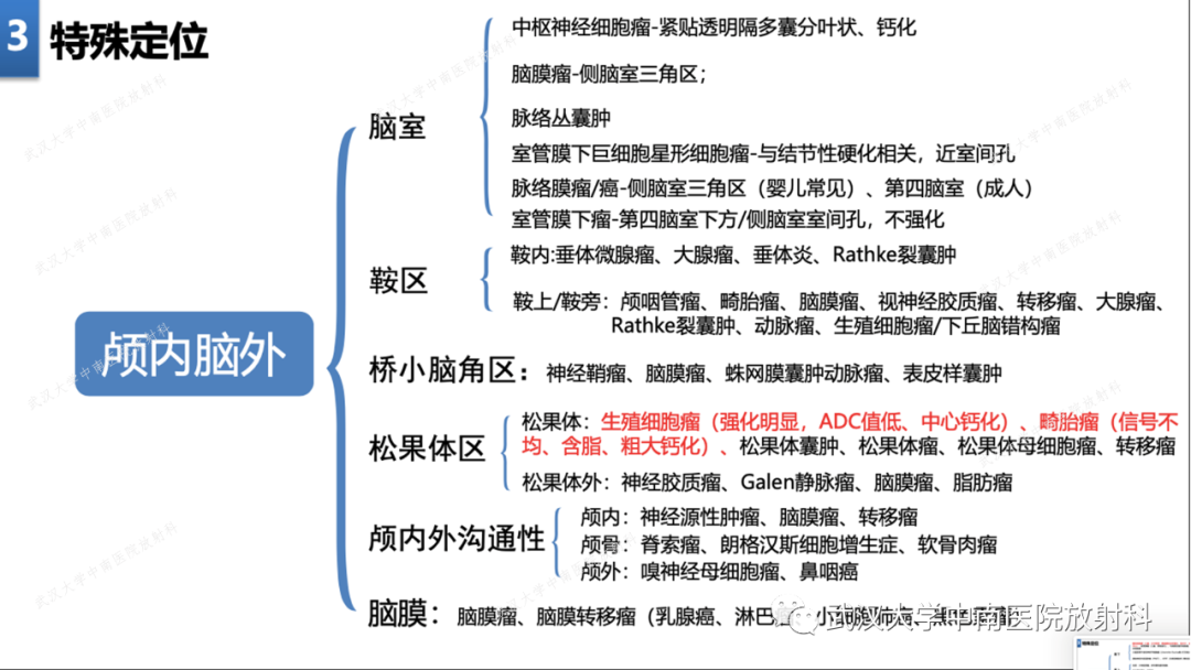 【PPT】局灶性脑部病变影像学诊断-17