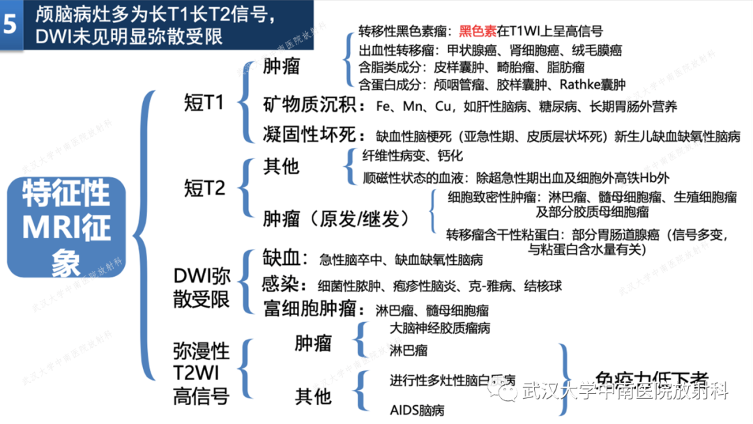 【PPT】局灶性脑部病变影像学诊断-36