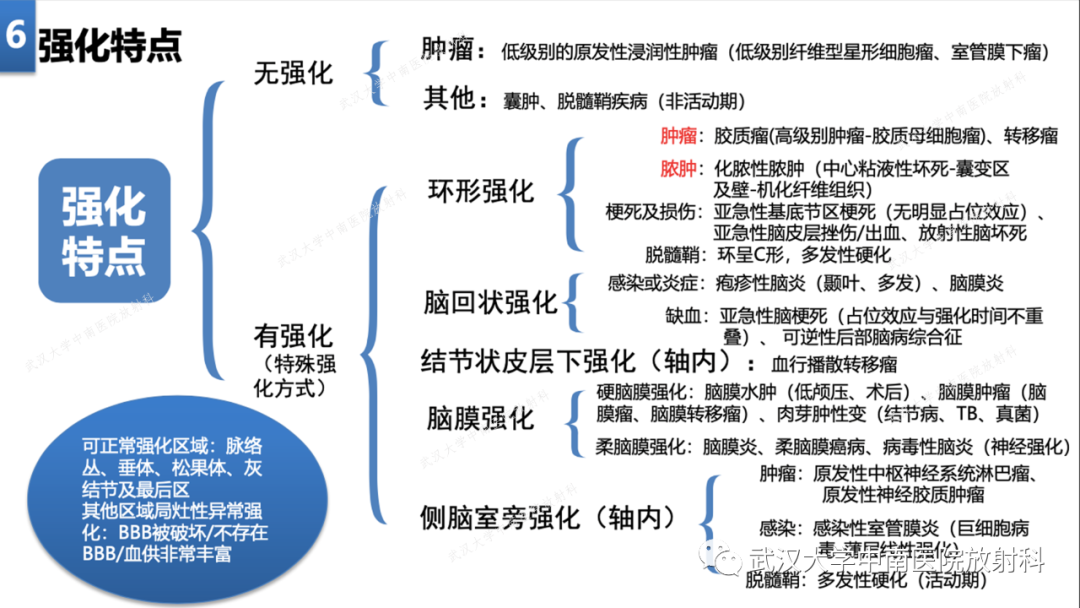 【PPT】局灶性脑部病变影像学诊断-43