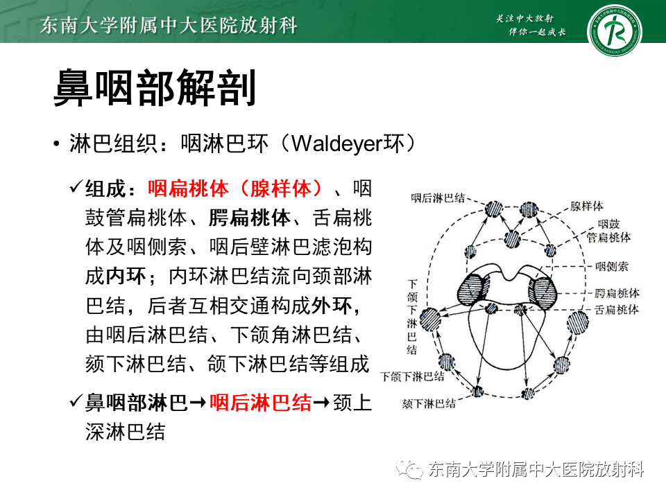 【PPT】鼻咽部占位性病变随访及鉴别-54