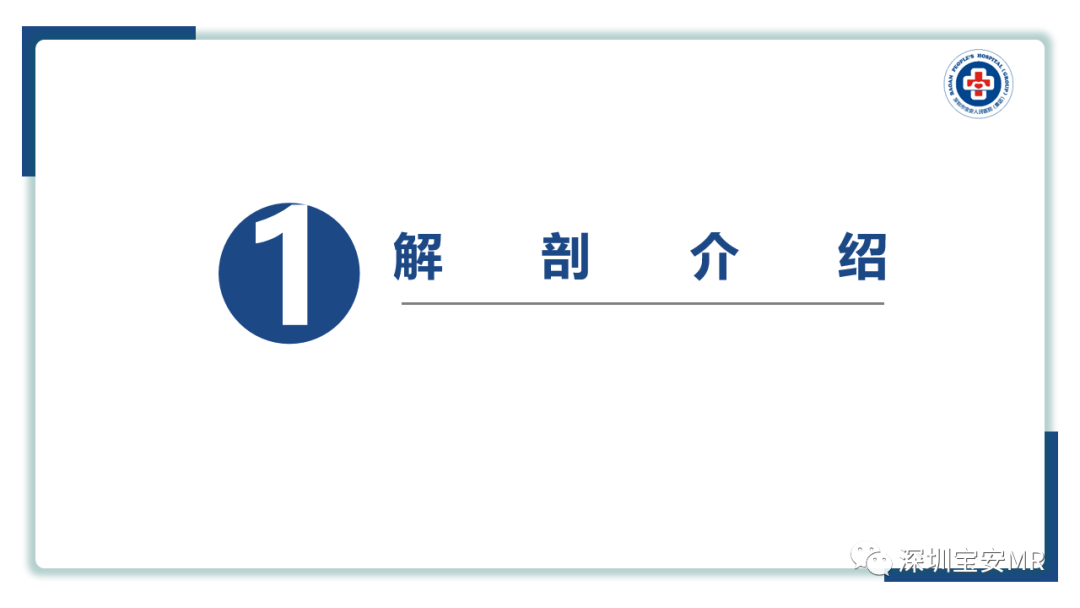 【PPT】后颅窝畸形-3